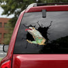 Iguana Crack Decals For Windows You Cute Car Sticker First Communion Gifts - Wildlife & Nature die-cut waterproof vinyl sticker decal