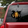 [ha0189-snf-ptd]-bat-car-sticker-bats-lover