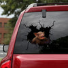 [ha0190-snf-ptd]-bat-car-sticker-bats-lover