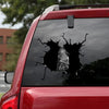 [ha0191-snf-ptd]-bat-car-sticker-bats-lover