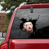 [ha0198-snf-lad]-ferret-crack-car-sticker-ferrets-lover