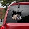 American Bully Crack Sticker Car Window Cool Vehicle Decals 1 Year Anniversary Gift - General die-cut waterproof vinyl sticker decal