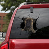 [ha0252-snf-tnt]-bullmastiff-crack-car-sticker-dogs-lover