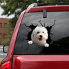 Bichon Frise Crack Decal Car Funny Die Cut Stickers Secret Santa - General die-cut waterproof vinyl sticker decal