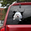 Bichon Frise Crack Sticker Car Window Pretty Cute Vinyl Labels Gifts For Coffee Lovers - General die-cut waterproof vinyl sticker decal