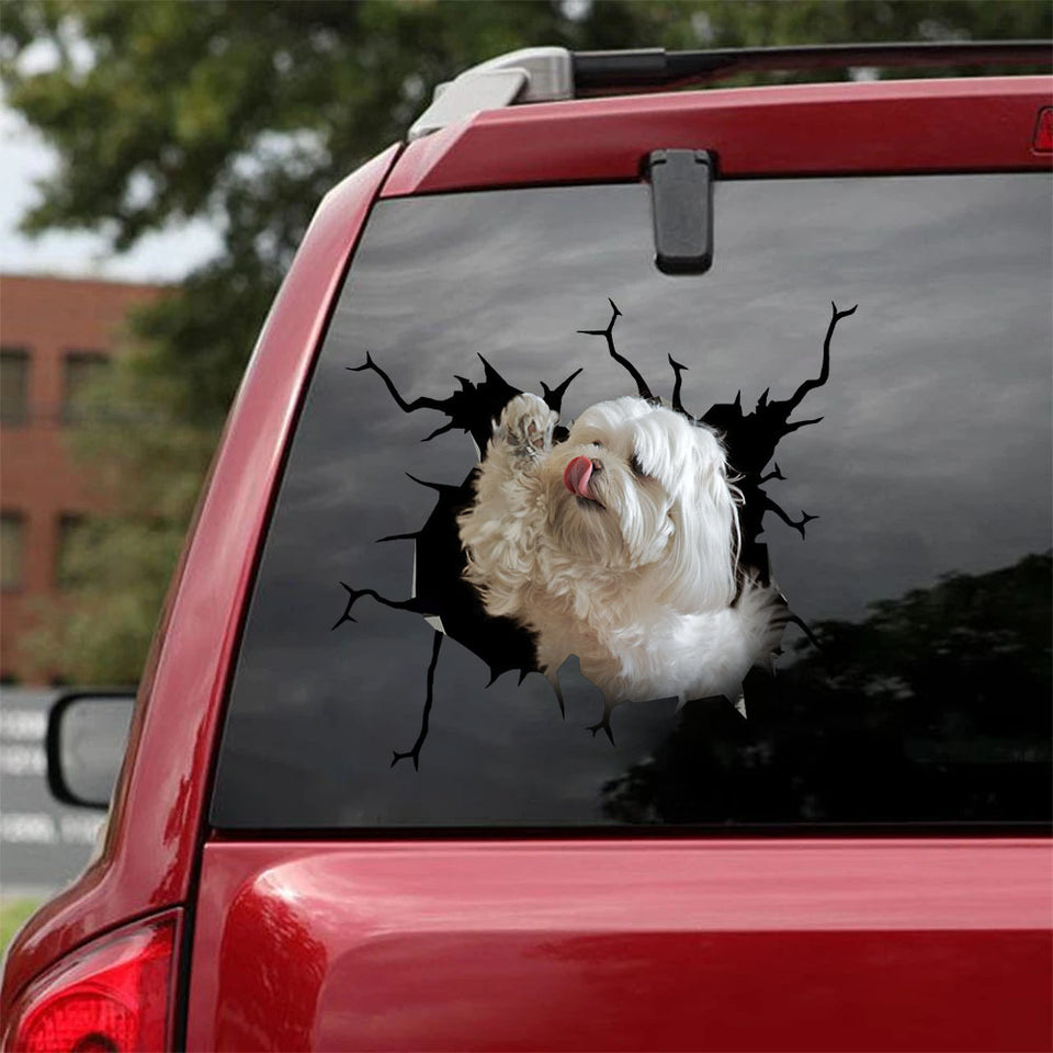 [ha0310-snf-lad]-maltese-crack-car-sticker-dogs-lover