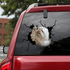 [ha0310-snf-lad]-maltese-crack-car-sticker-dogs-lover