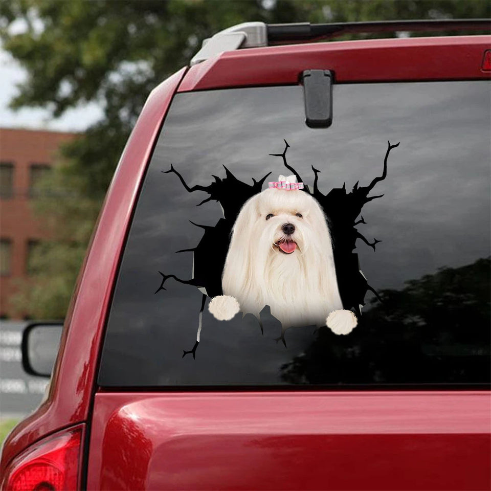 [ha0311-snf-lad]-maltese-crack-car-sticker-dogs-lover