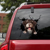 [ha0325-snf-lad]-havanese-crack-car-sticker-dogs-lover