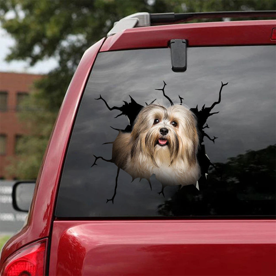 [ha0327-snf-lad]-havanese-crack-car-sticker-dogs-lover