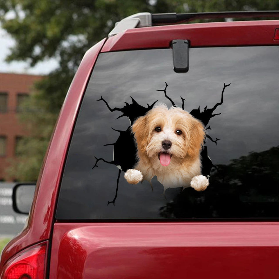 [ha0328-snf-lad]-havanese-crack-car-sticker-dogs-lover