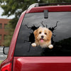 [ha0328-snf-lad]-havanese-crack-car-sticker-dogs-lover