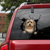 [ha0330-snf-lad]-havanese-crack-car-sticker-dogs-lover