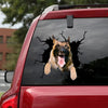 [ha0340-snf-lad]-belgian-malinois-crack-car-sticker-dogs-lover