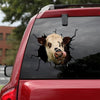 [sk1306-snf-ptd]-hereford-cattle-cow-crack-sticker-cattle-lover
