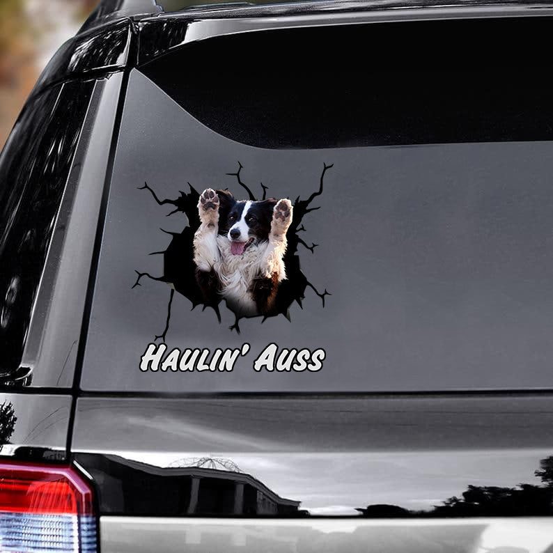 australian-shepherd-crack-car-decals,-window-decals-car,-gift-for-car,-dogs-decals-lover