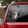 [sk0673-snf-tpa]-koala-crack-sticker-animals-lover