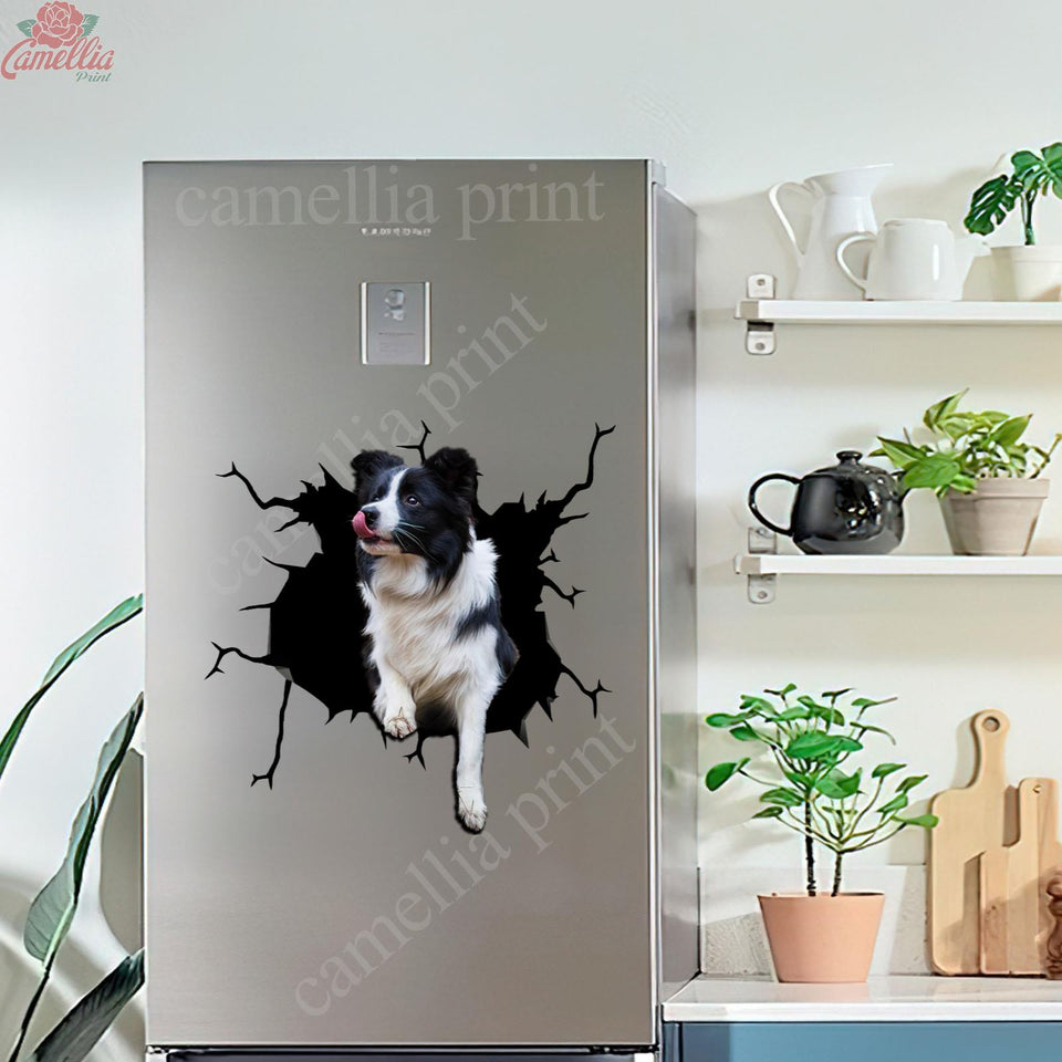Die-cut Border Collie crack dog sticker vinyl decal for car window or laptop