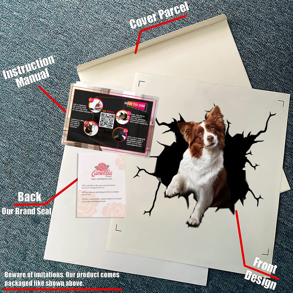 Border Collie Crack Sticker Kawaii Funny Pictures Black And White Stickers Gifts For Mom From Daughter