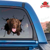 Labrador Chocolate Crack Decals For Walls Pretty Cute Anime Car Decals Gifts For Girlfriend