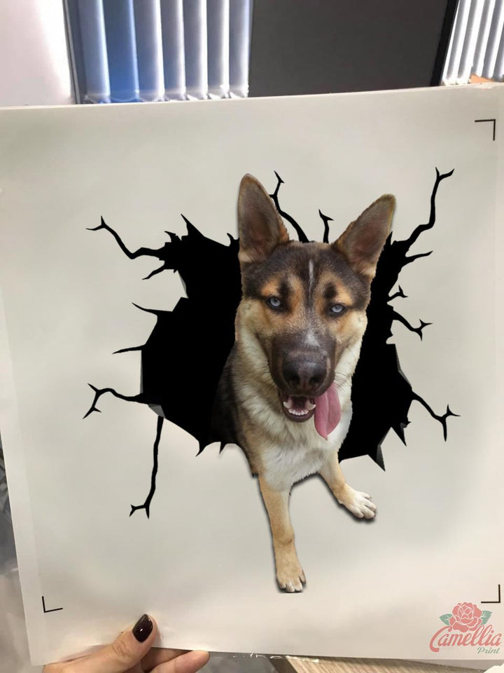 German Shepherd Crack Bone Sticker Funny Memes Custom Sticker Labels 7 Year Anniversary Gift - Dog Lovers Sticker view #6