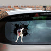 Border Collie Crack Sticker Chart Pretty Cute Custom Vinyl Stickers Gifts For Boyfriend