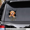 Funny Labrador Car Decals Dogs Sticker Gift for Window Sticker