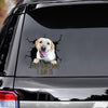 Funny Labrador Car Decals Dogs Sticker Gift for Window Sticker