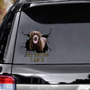 Funny Labrador Car Decals Dogs Sticker Gift for Window Sticker
