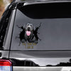 Tell Your Dogs I Said Hi - Black Labrado Vinyls Car Decals