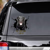 Tell Your Dogs I Said Hi - Black Labrado Vinyls Car Decals
