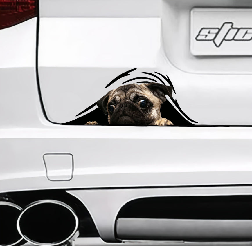 little-pug-crack-sticker-dogs-lover