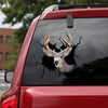 [sk1335-snf-tnt]-mule-deer-crack-sticker-hunting-lover