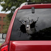 [sk1334-snf-tnt]-mule-deer-crack-sticker-hunting-lover