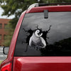 [sk0632-snf-tpa]-penguin-crack-sticker-animals-lover