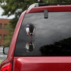 [sk0636-snf-tpa]-penguin-crack-sticker-animals-lover