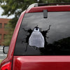 [sk0631-snf-tpa]-penguin-crack-sticker-animals-lover
