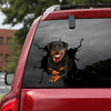 [sk0804-snf-tpa]-rottweiler-crack-sticker-dogs-lover