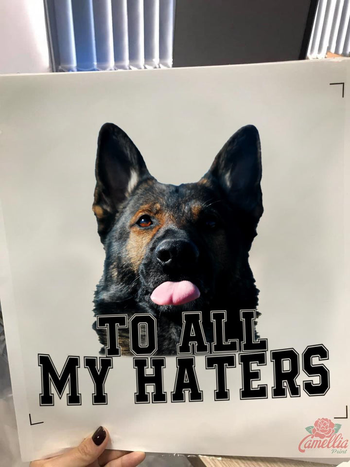 Funny German Shepherd to All My Haters Decal for Car Window
