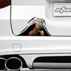 [sk0351-snf-ptd] Horse Crack Car Sticker animals lover - Camellia Print