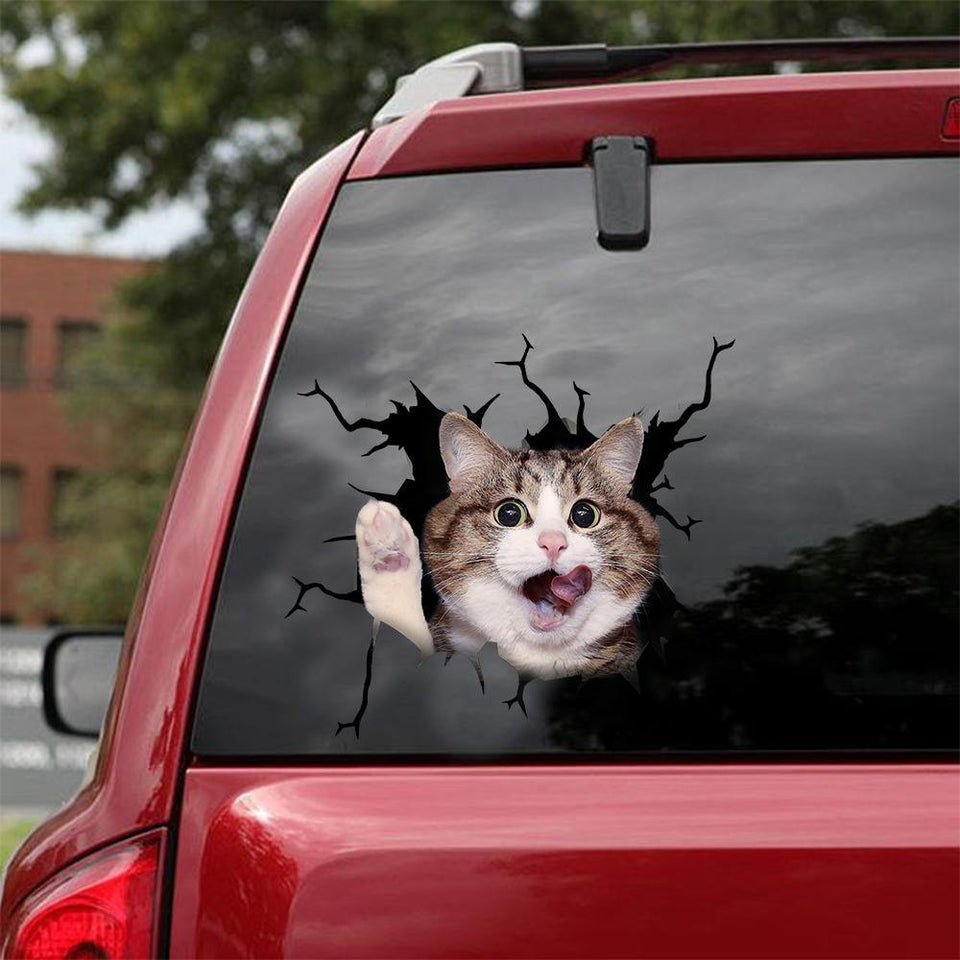 [sk0368-snf-tnt] Funny Cats Crack Car Sticker Cats Lover - Camellia Print