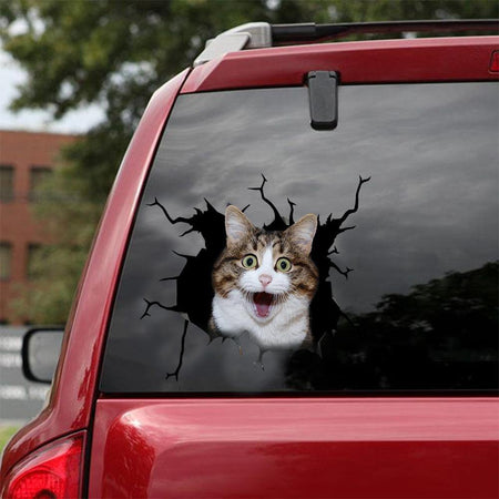 Funny Cats Crack Bone Sticker Funny Car Decals Gifts