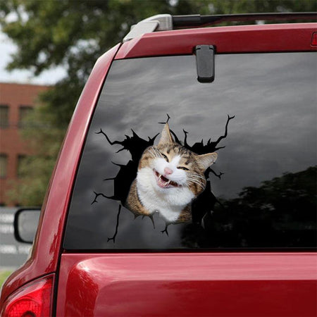 Funny Cats Crack Sticker Custom Happy Laptop Stickers Get Well
