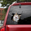 [sk0370-snf-tnt] Funny Cats Crack Car Sticker Cats Lover - Camellia Print