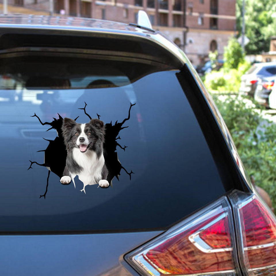 Border Collie Crack Sticker for Back Window Wiper Nice Window