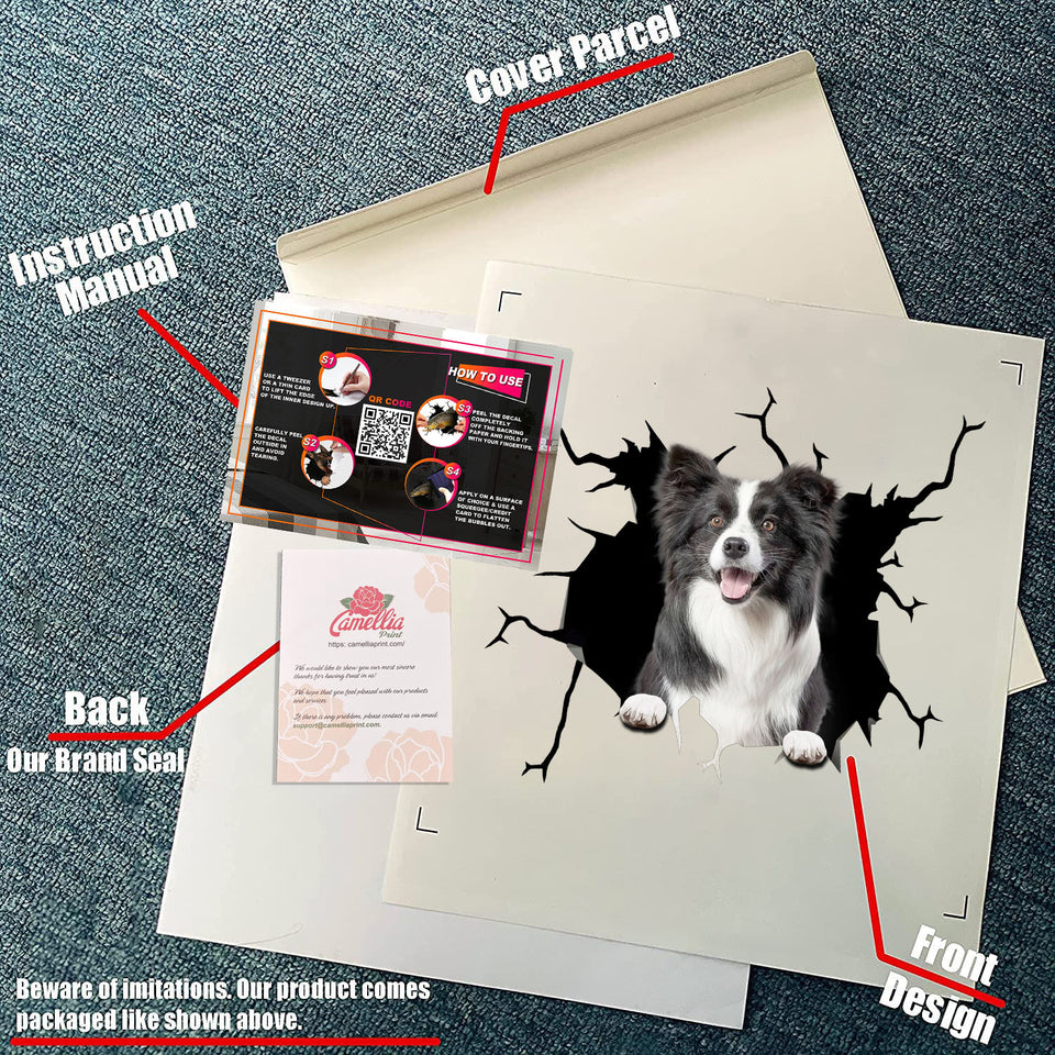Border Collie Crack Sticker for Back Window Wiper Nice Window