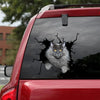[sk0609-snf-tnt]-maine-coon-crack-sticker-cats-lover