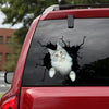 [sk0610-snf-tnt]-maine-coon-crack-sticker-cats-lover