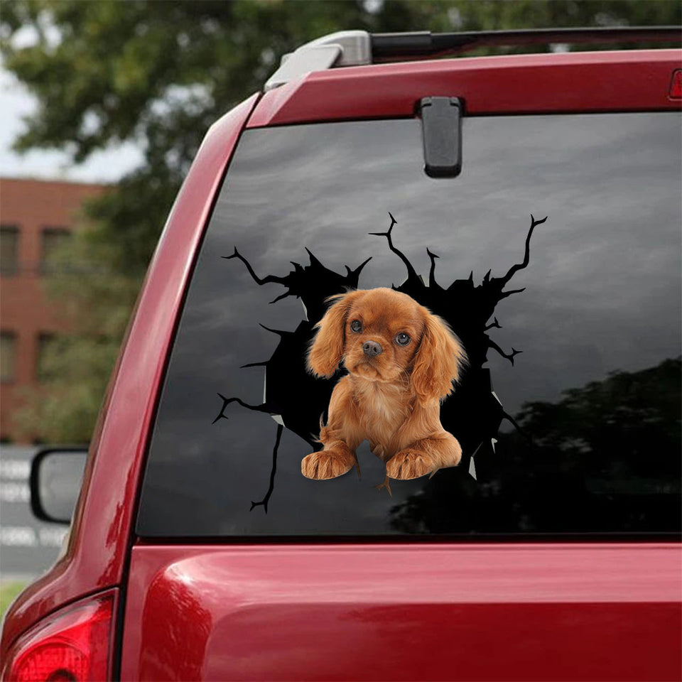 [sk0642-snf-tnt]-cavalier-king-charles-spaniel-crack-sticker-dogs-lover