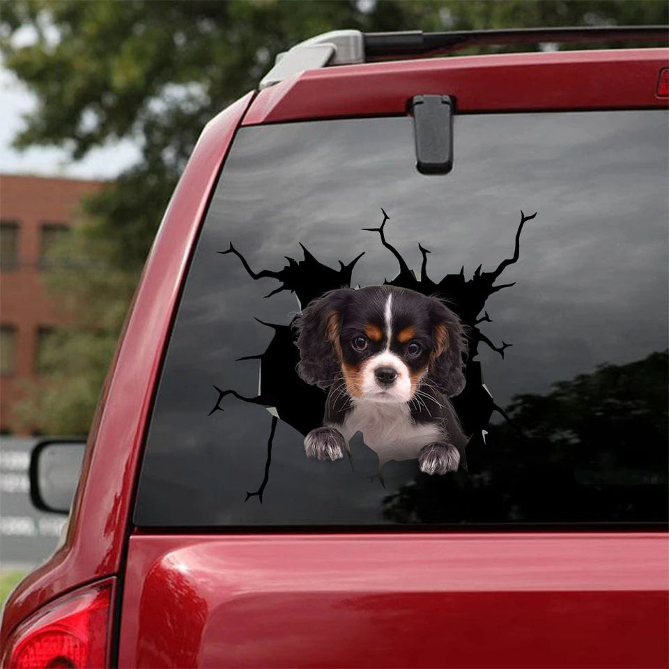 [sk0644-snf-tnt]-cavalier-king-charles-spaniel-crack-sticker-dogs-lover
